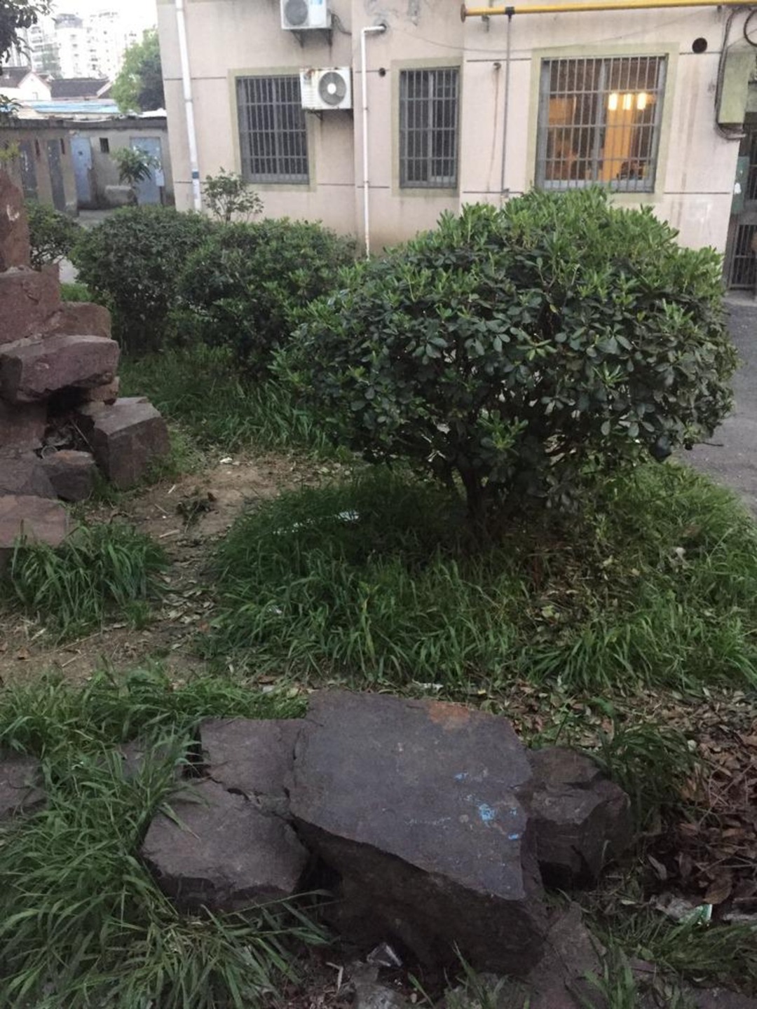 苏州公交一村二手房房源图片