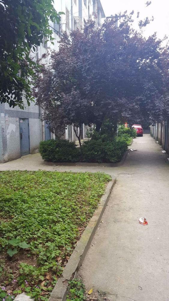 苏州太湖东路280号小区二手房房源图片