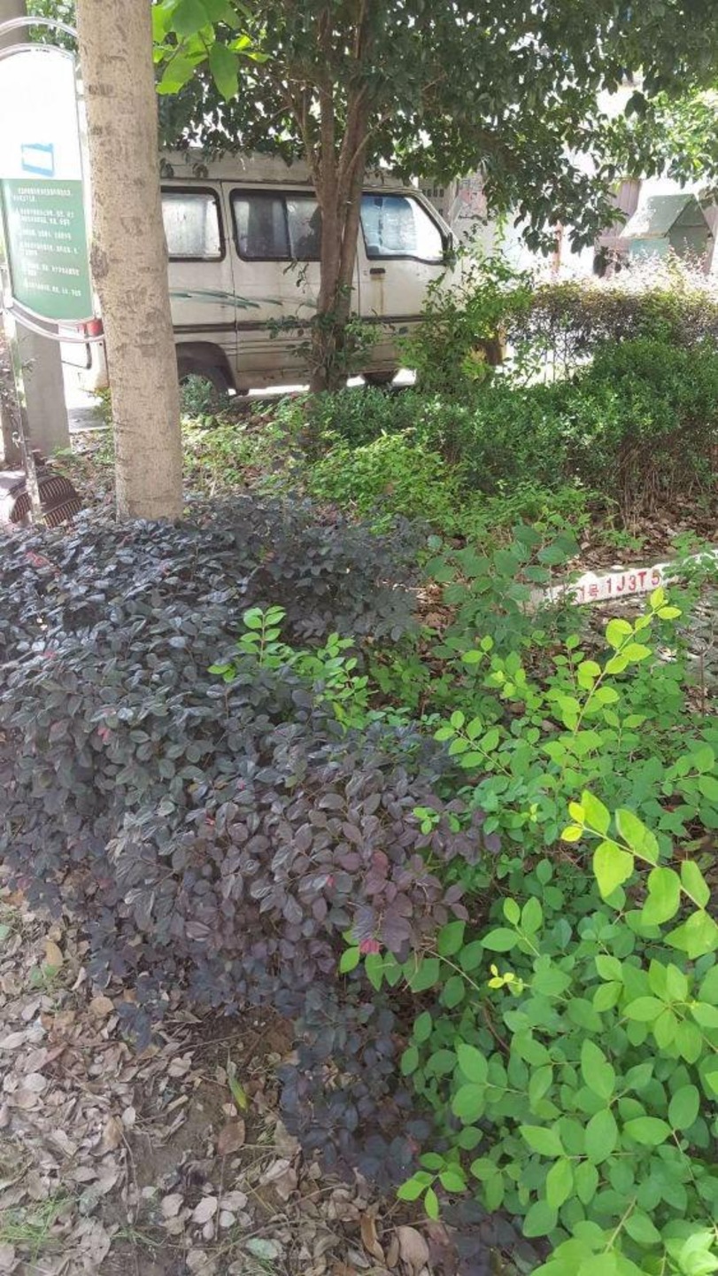 苏州盘蠡新村盘蠡苑二手房房源图片