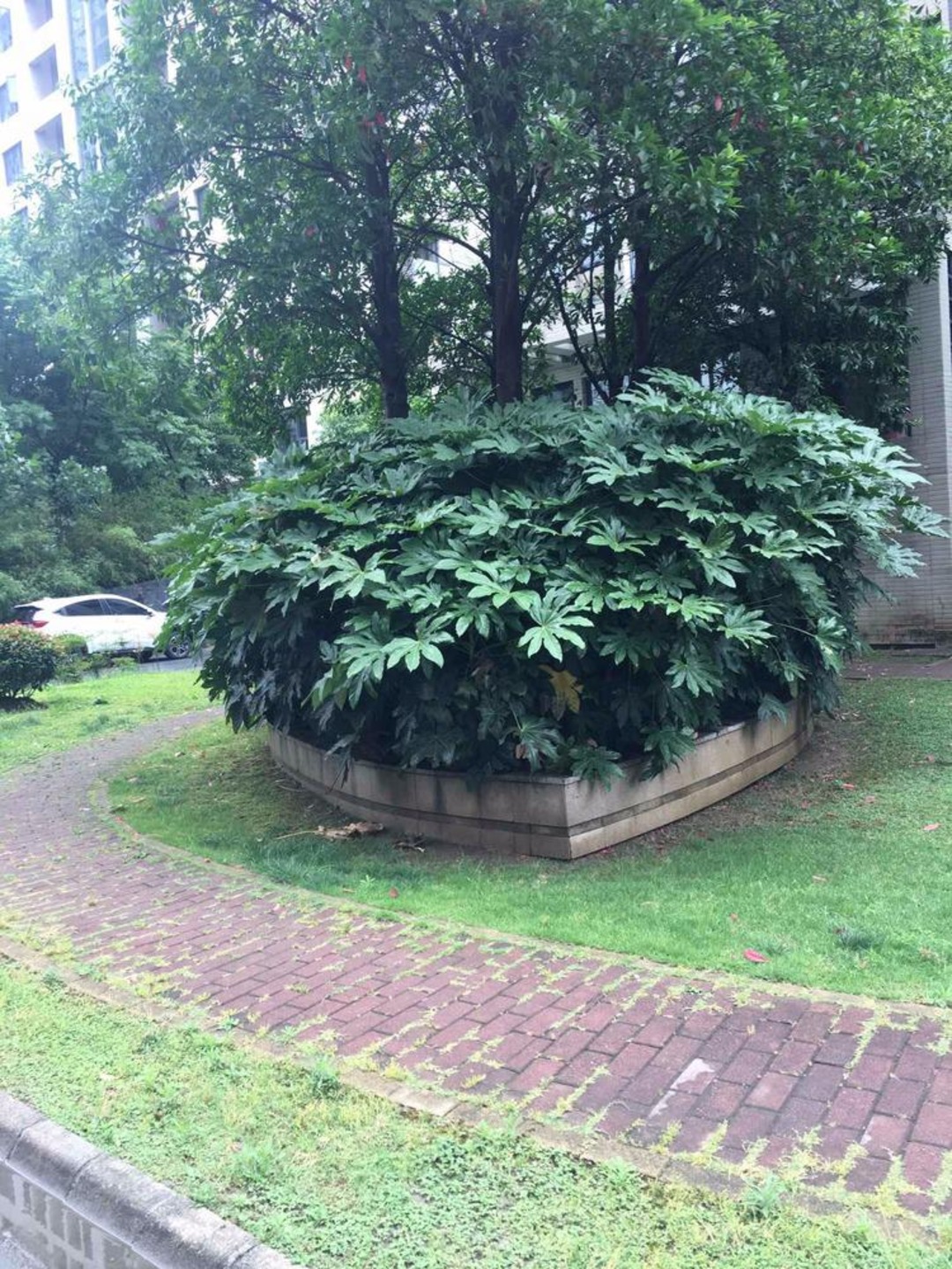 苏州鼎泰花园二手房房源图片