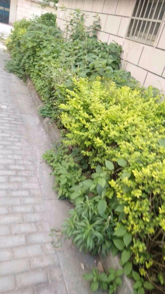 苏州龙西新村莫厘苑二手房房源图片