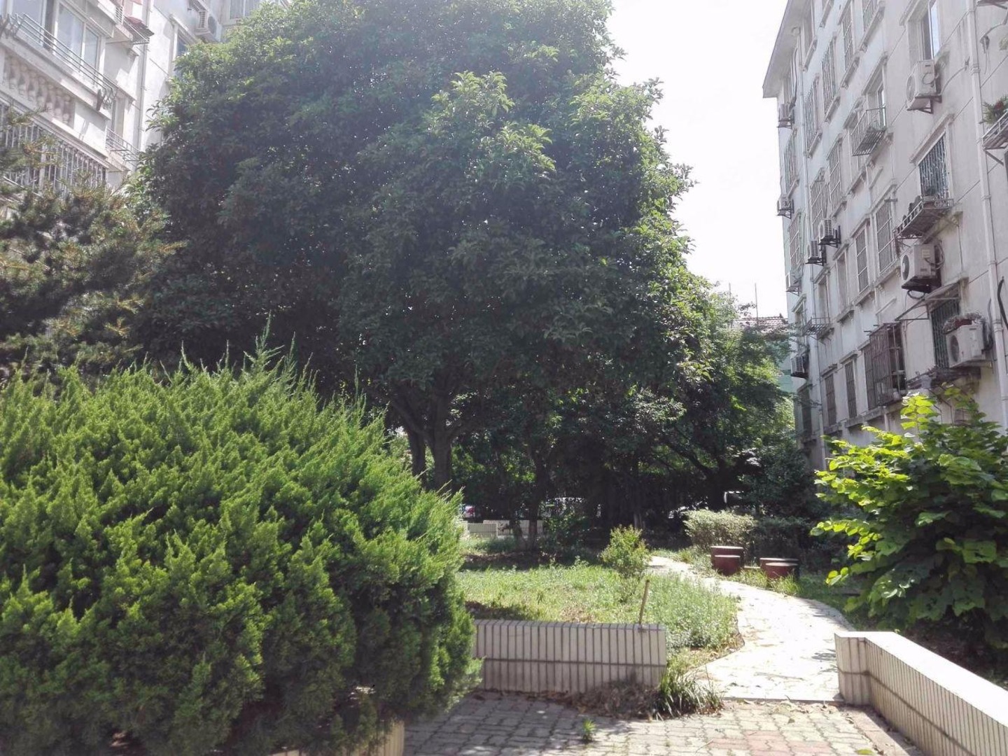 苏州润达新村(南区)二手房房源图片