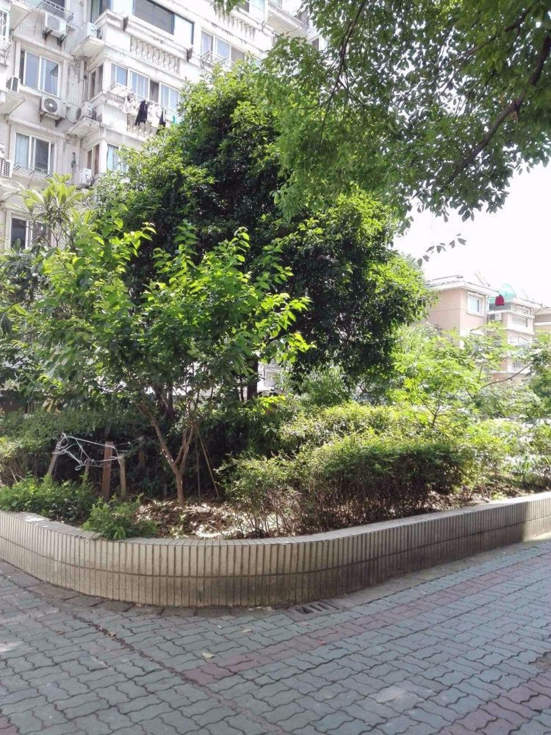 苏州润达新村(南区)二手房房源图片