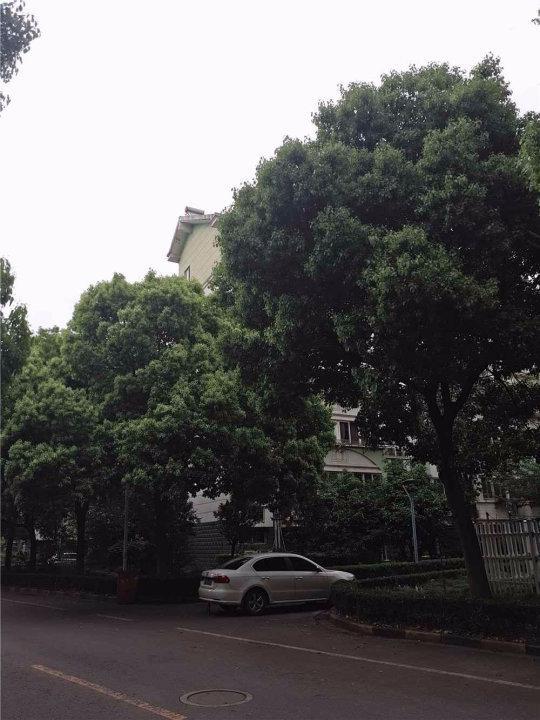 南京潭桥公寓南园二手房房源图片
