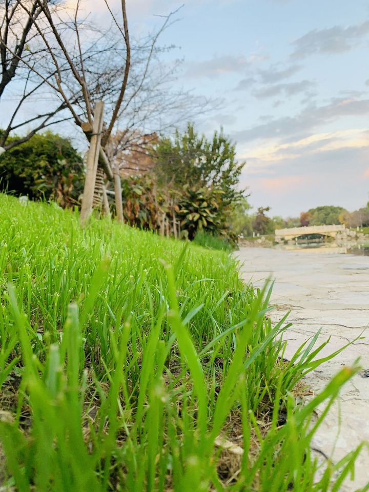 南京湖滨世纪花园二手房房源图片