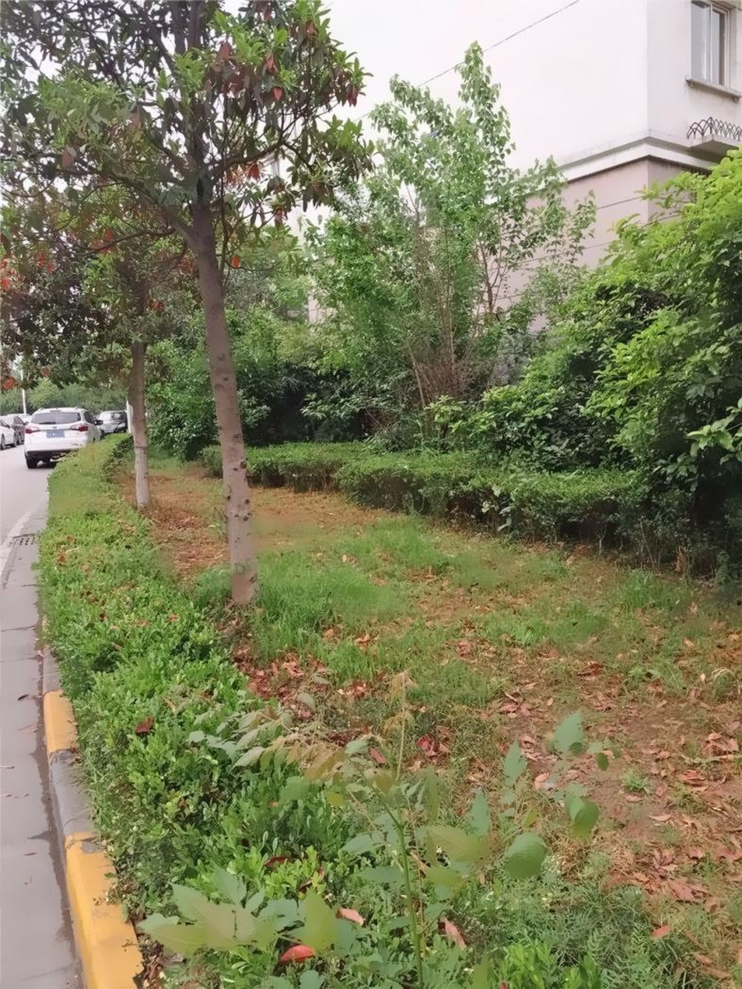 南京潭桥公寓北园二手房房源图片