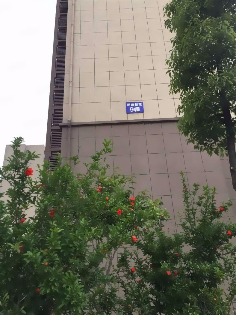 南京泥塘新苑二手房房源图片