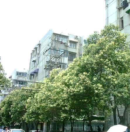 南京双塘里二手房房源图片