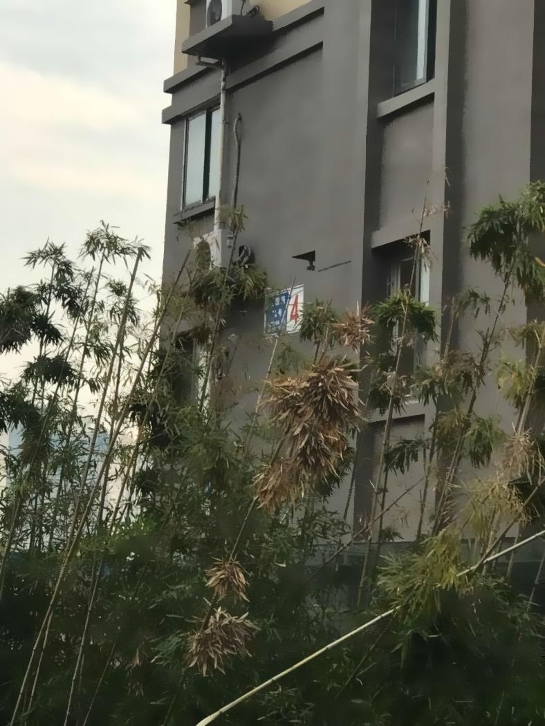 南京定坊嘉苑二手房房源图片