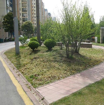 南京水月秦淮二手房房源图片
