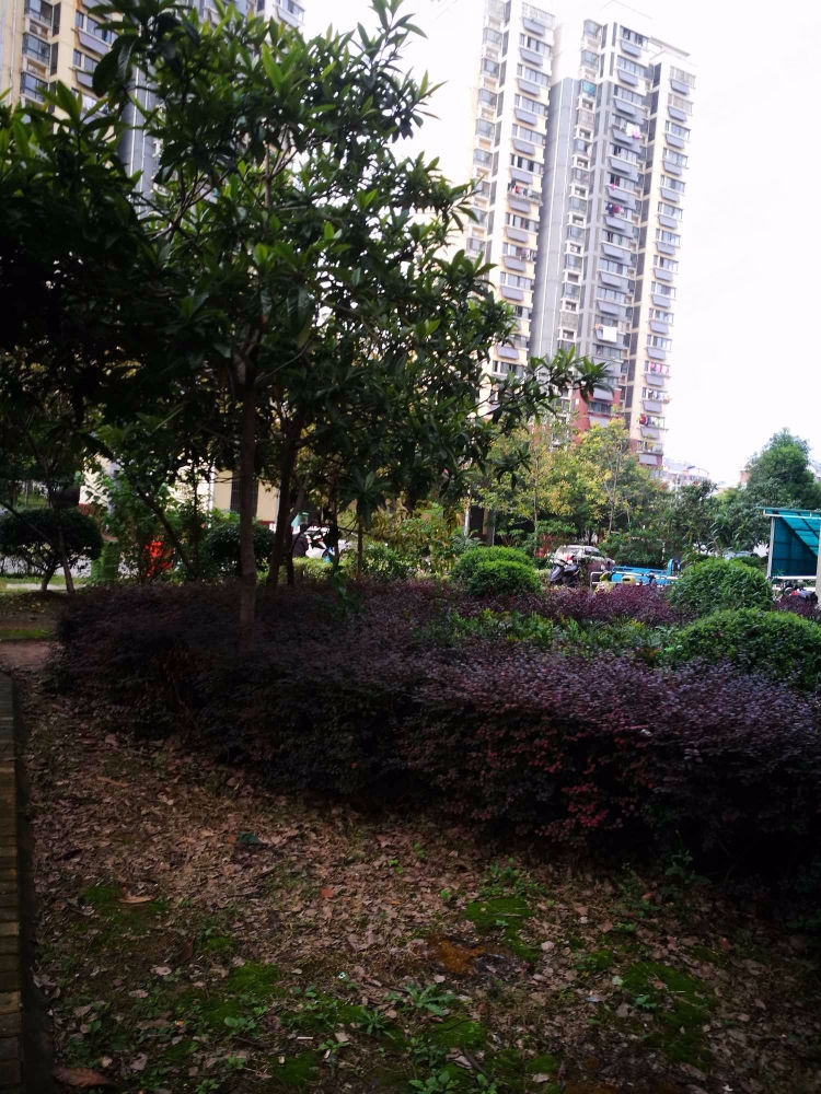 南京天景山公寓荣华苑二手房房源图片