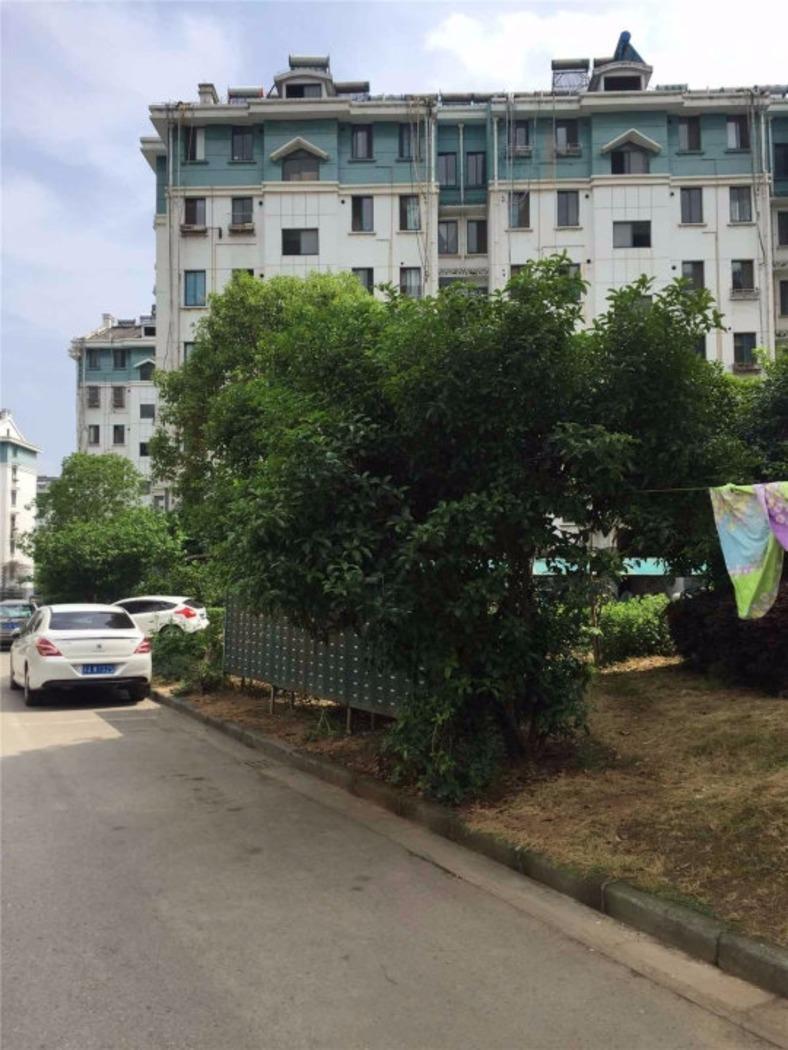 南京天景山公寓佳福苑二手房房源图片