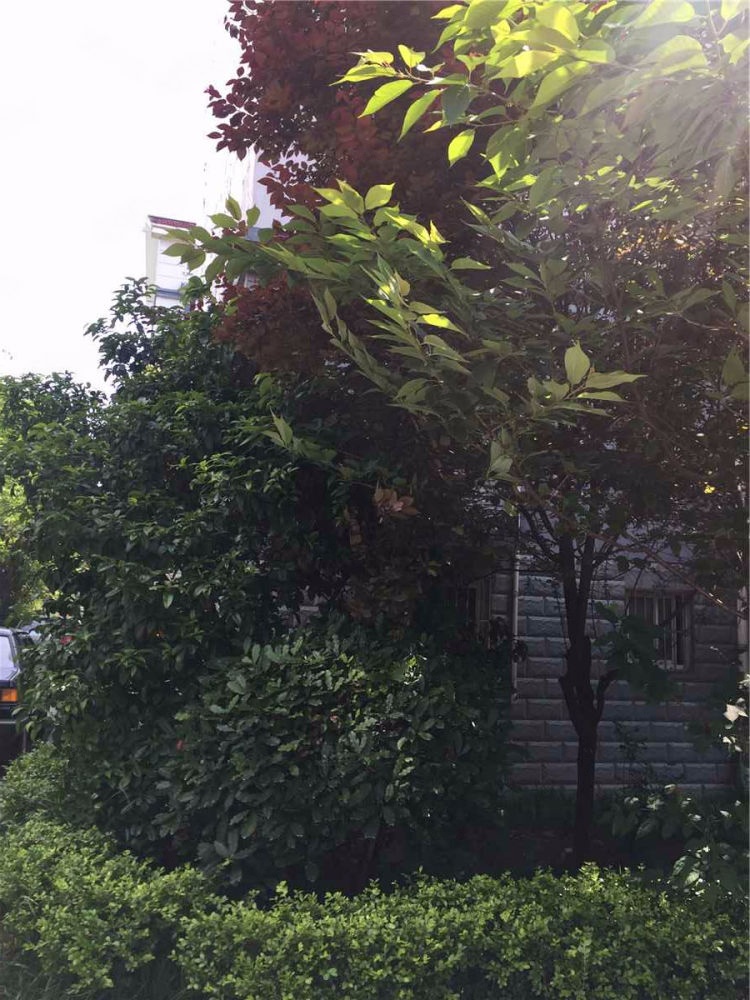 南京成山公寓二手房房源图片