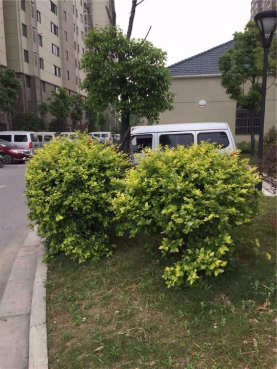 南京泥塘新苑二手房房源图片