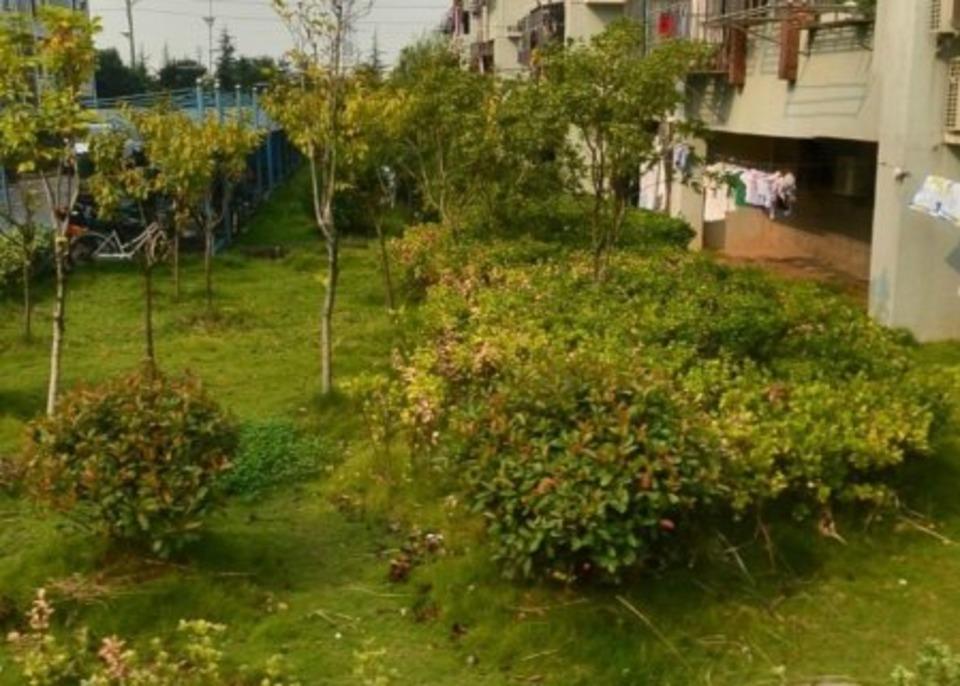 南京横岭新寓二手房房源图片