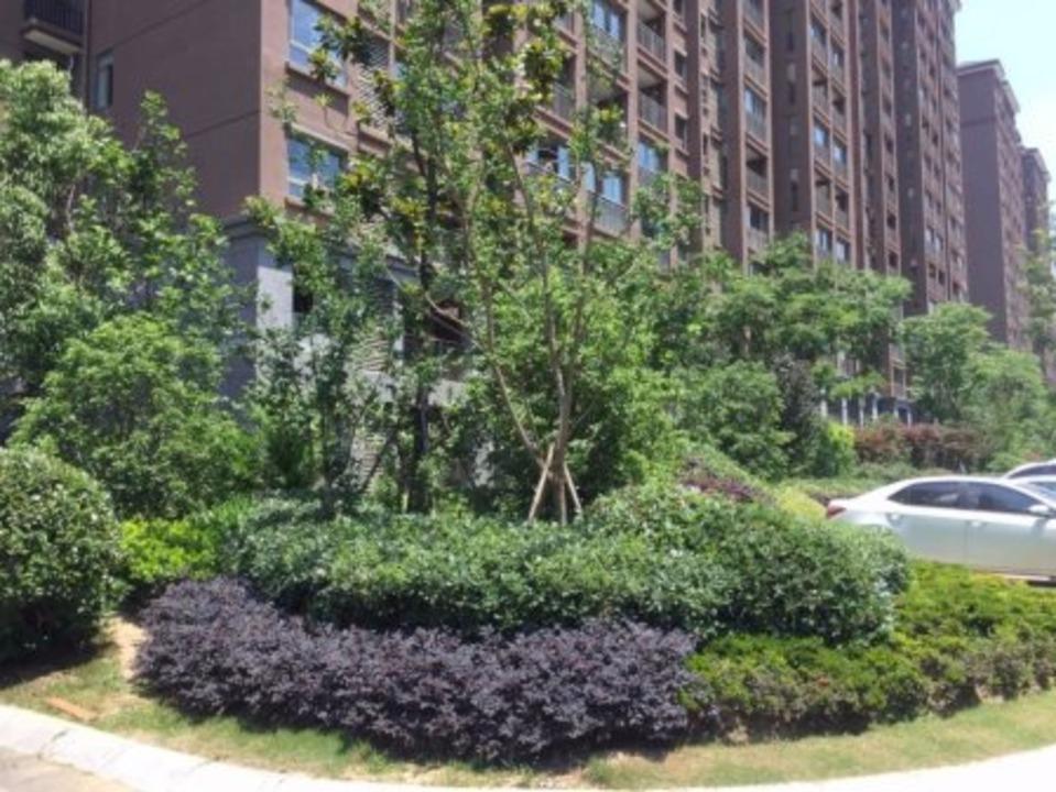 南京骏景华庭二手房房源图片