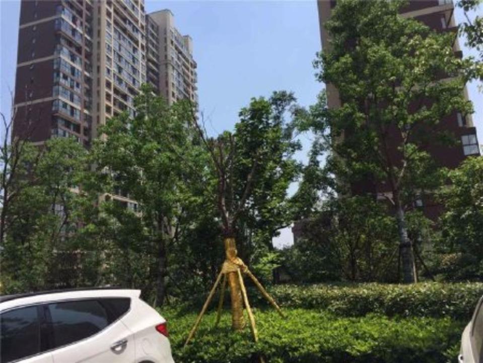 南京金地湖城艺境二手房房源图片