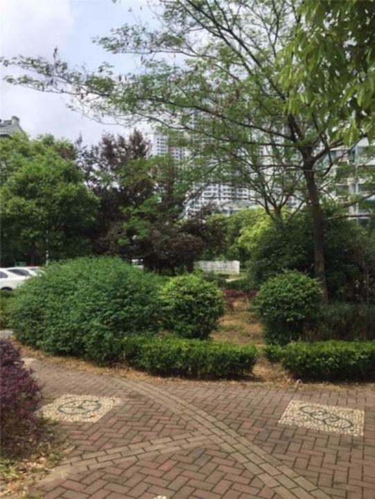 南京天景山公寓盛乐苑二手房房源图片
