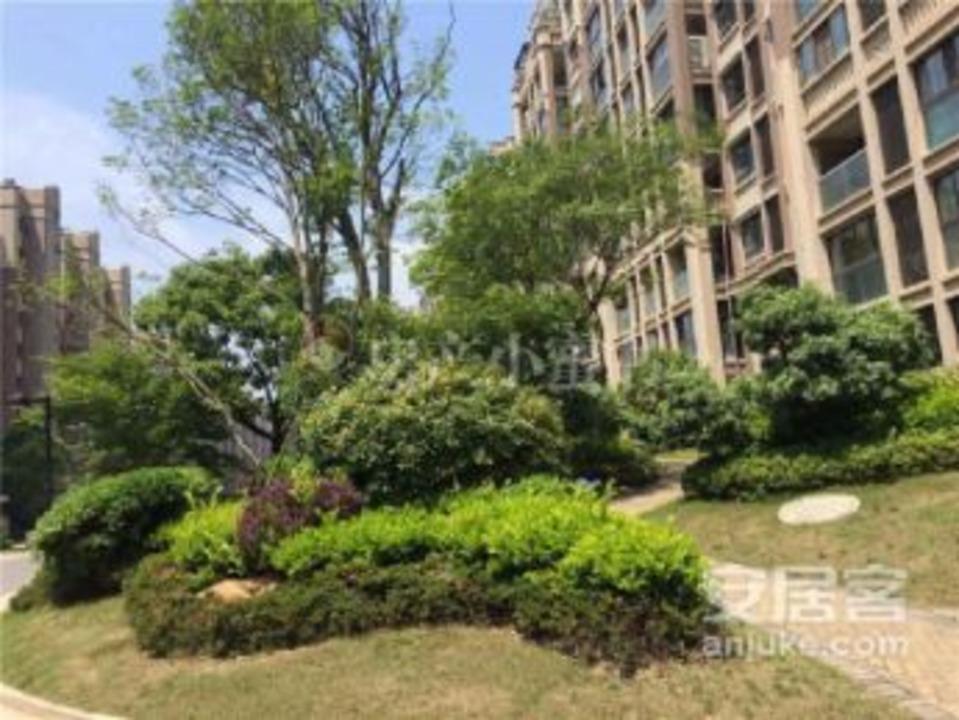 南京星叶枫情水岸二手房房源图片