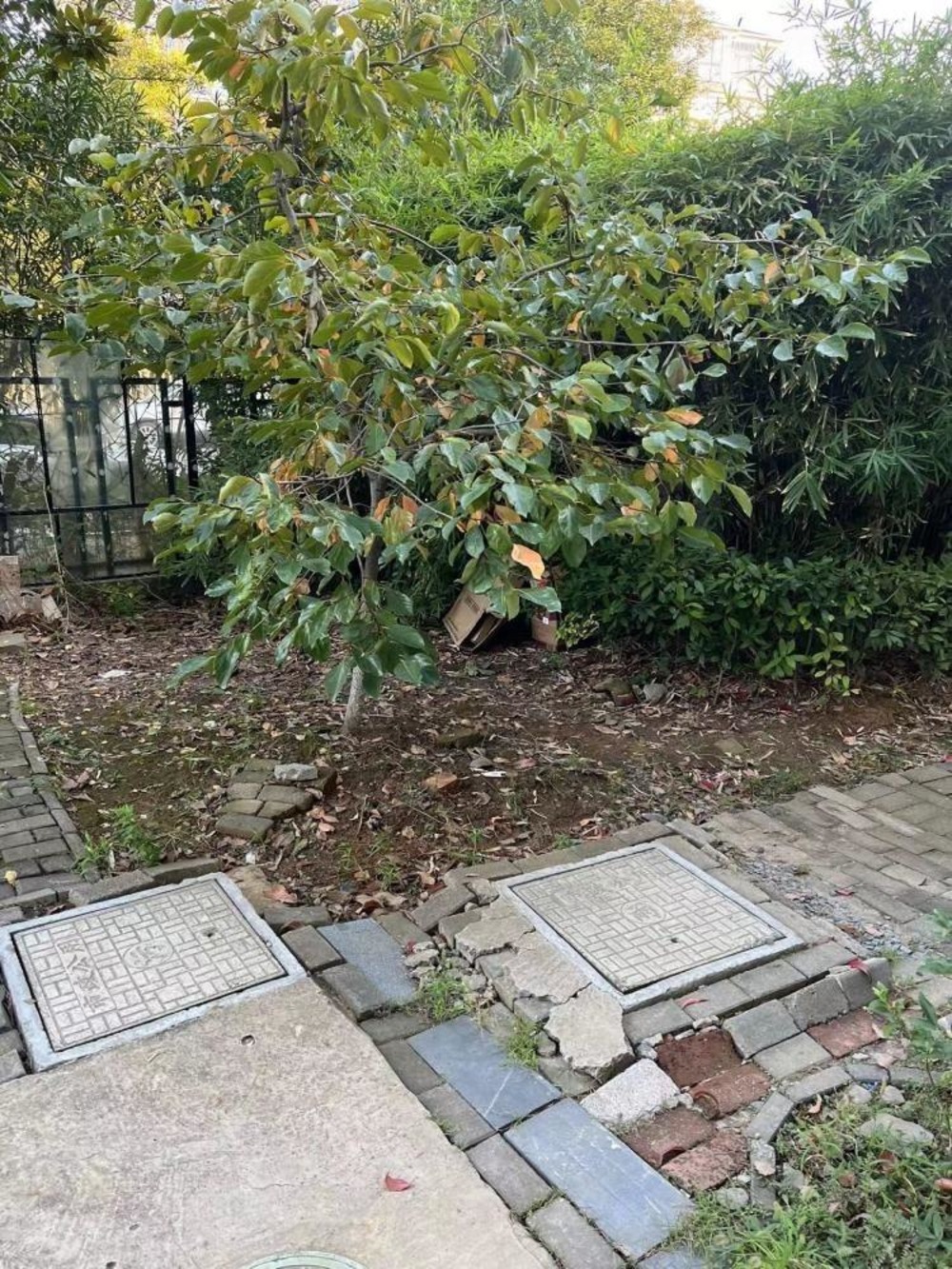 南京方山熙园二手房房源图片