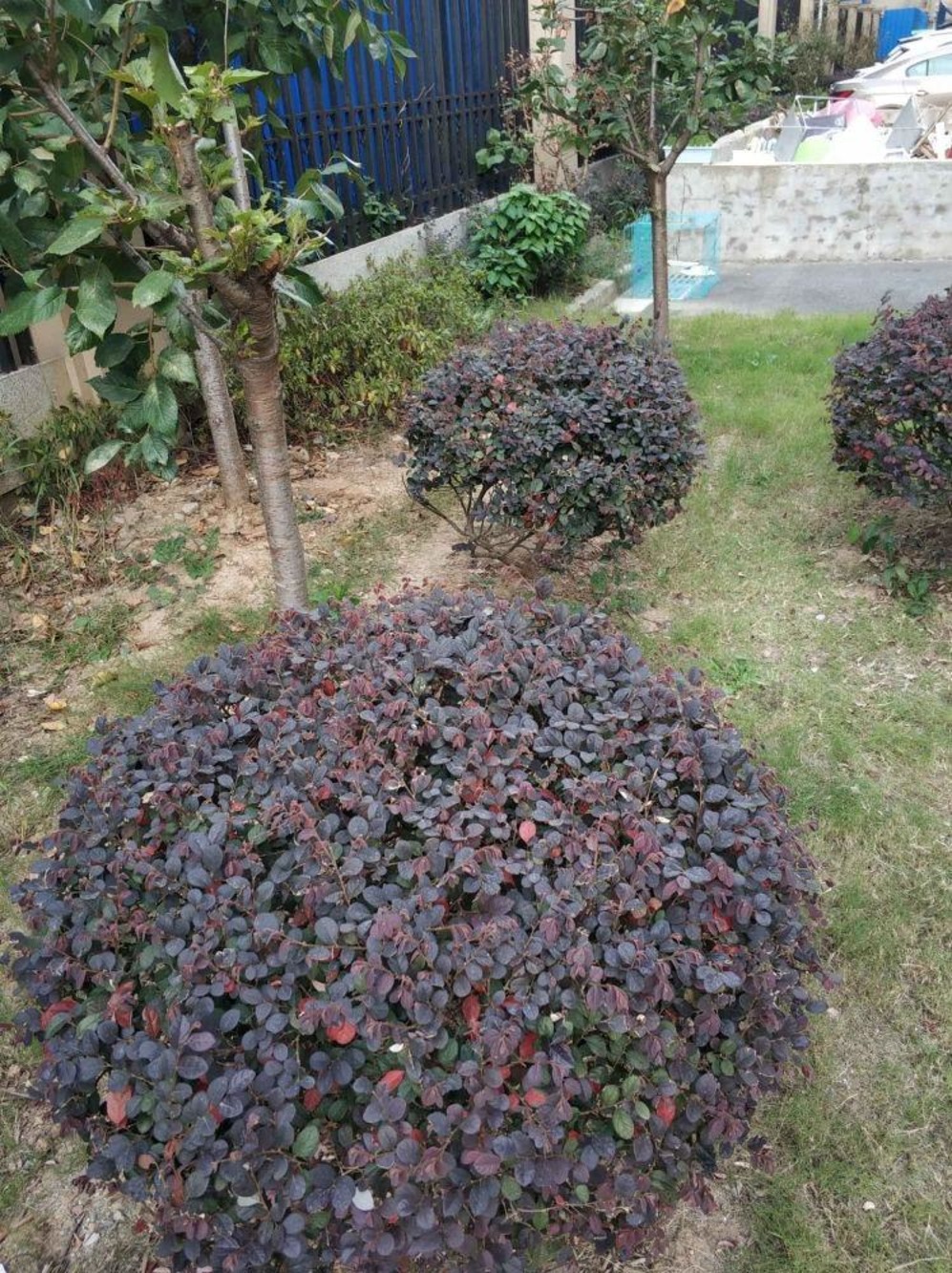 南京河定桥新苑二手房房源图片