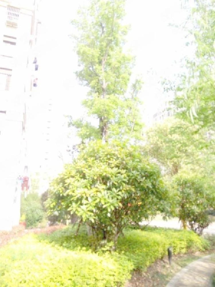 南京紫峰公馆二手房房源图片