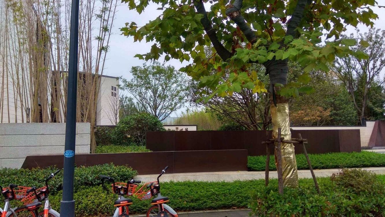 南京金地中心风华二手房房源图片