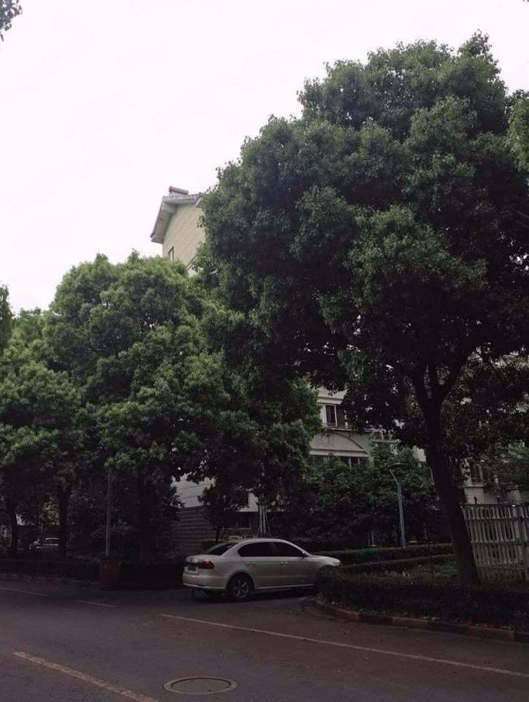 南京潭桥公寓南园二手房房源图片
