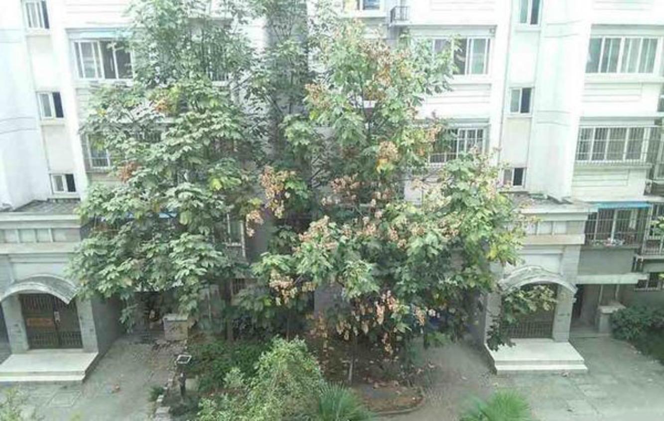 南京天地新城天心座二手房房源图片