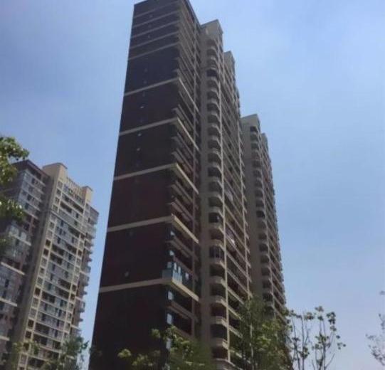南京金地湖城艺境二手房房源图片