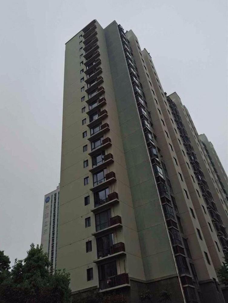 南京东渡国际青年城二手房房源图片