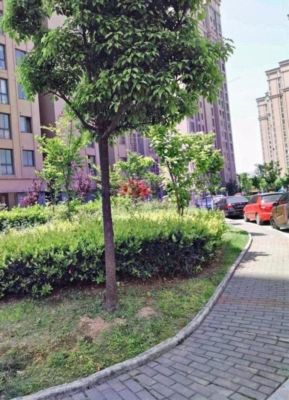 南京天琪福苑二手房房源图片