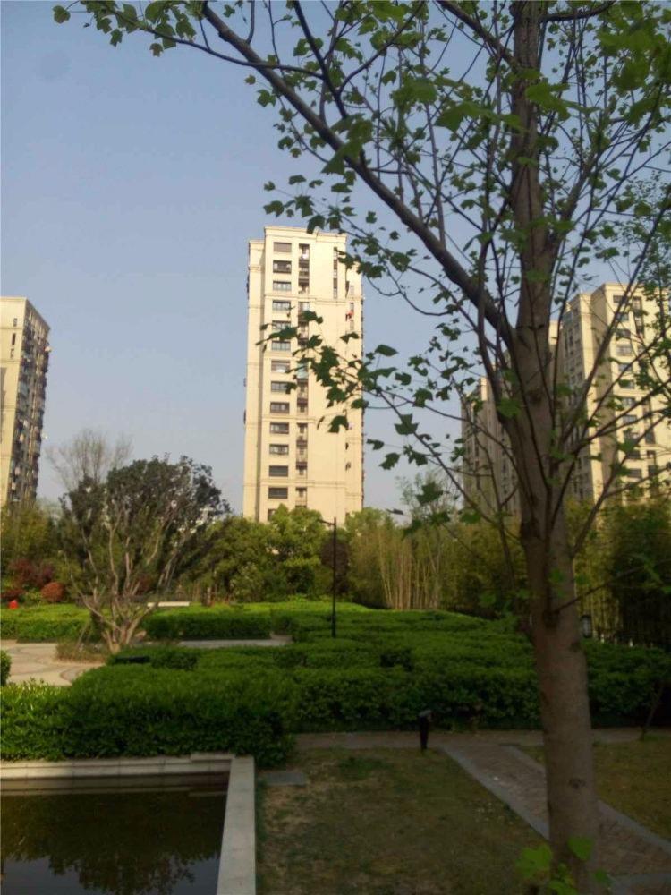 南京紫峰公馆二手房房源图片