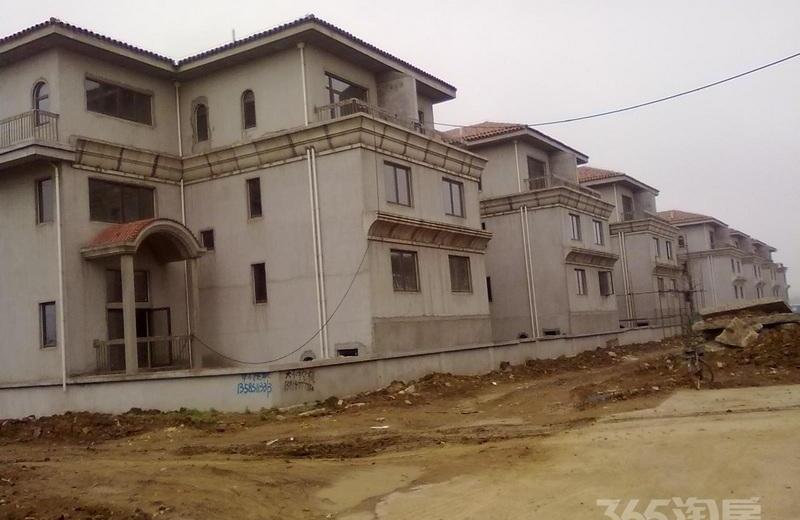 南京九龙湖别墅二手房房源图片