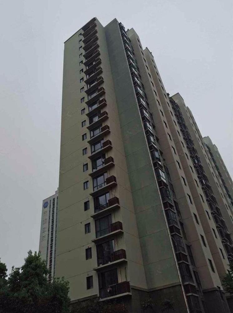 南京东渡国际青年城二手房房源图片