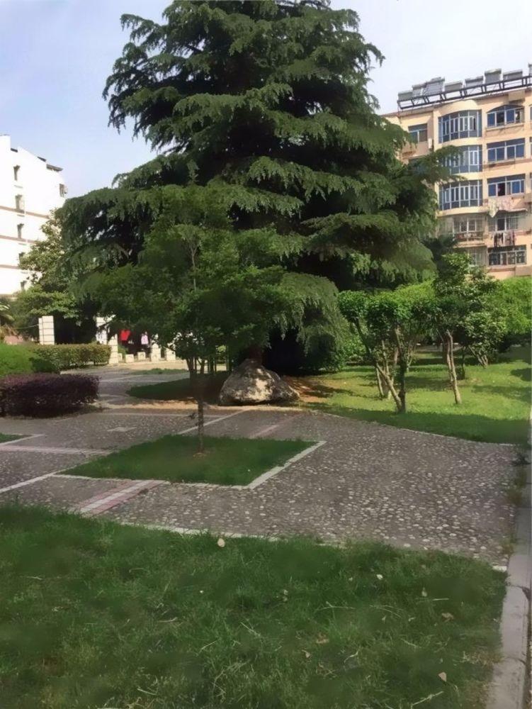 南京明月花园二手房房源图片