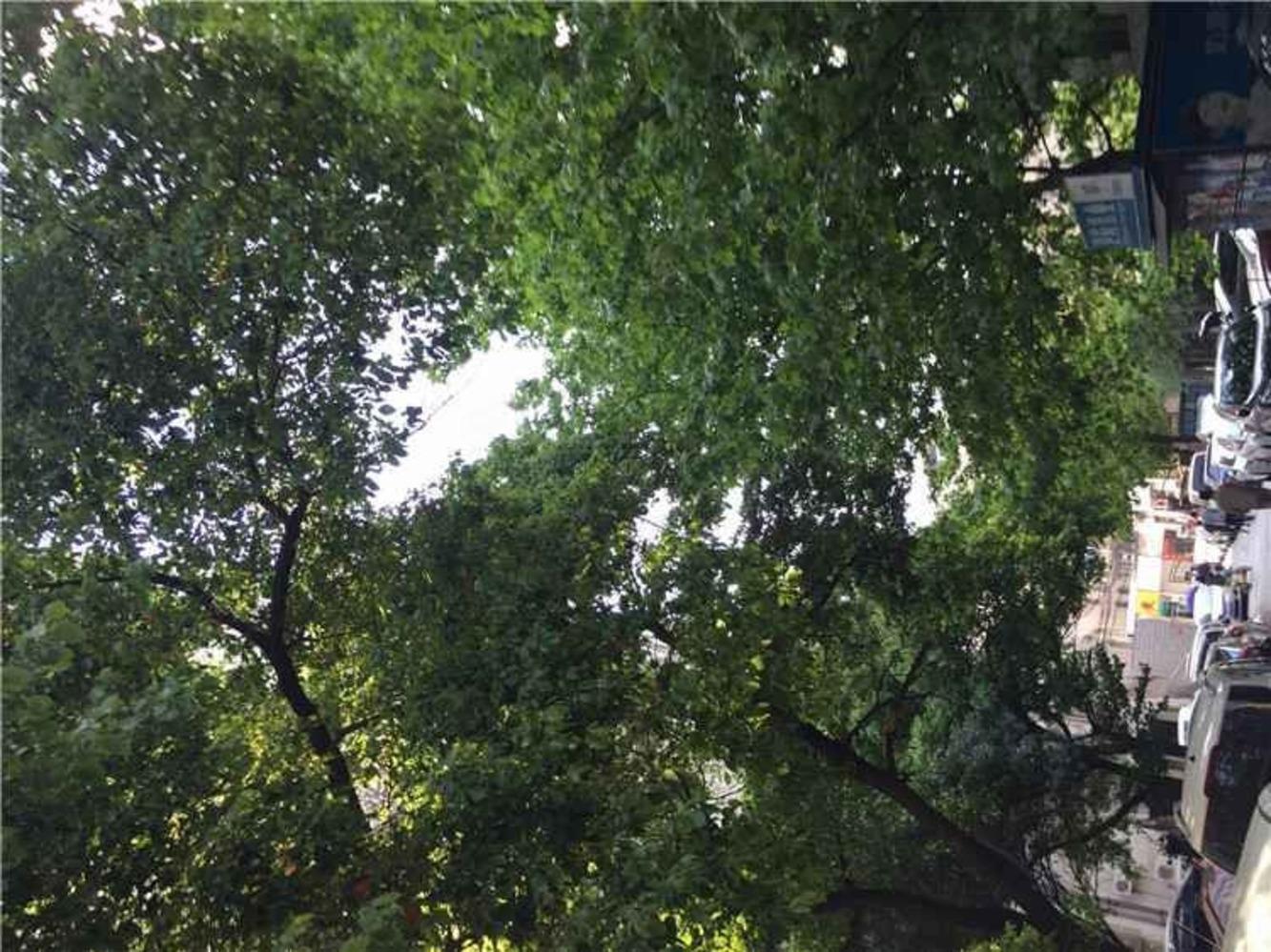 南京弓箭坊高层住宅小区二手房房源图片