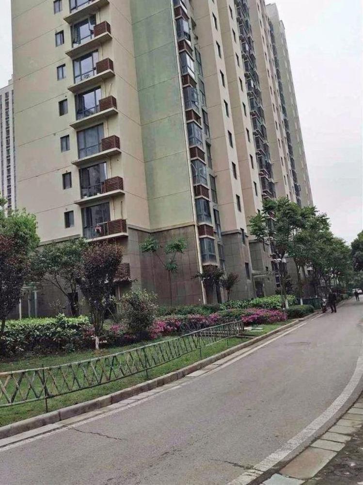 南京东渡国际青年城二手房房源图片