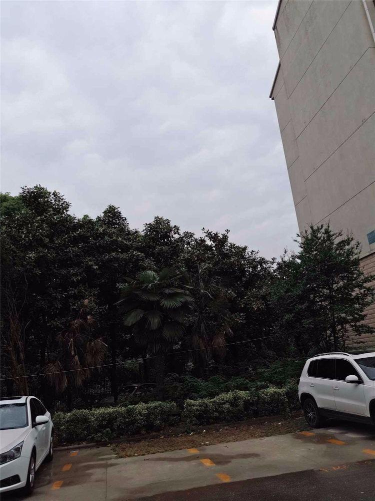 南京风和日丽二手房房源图片