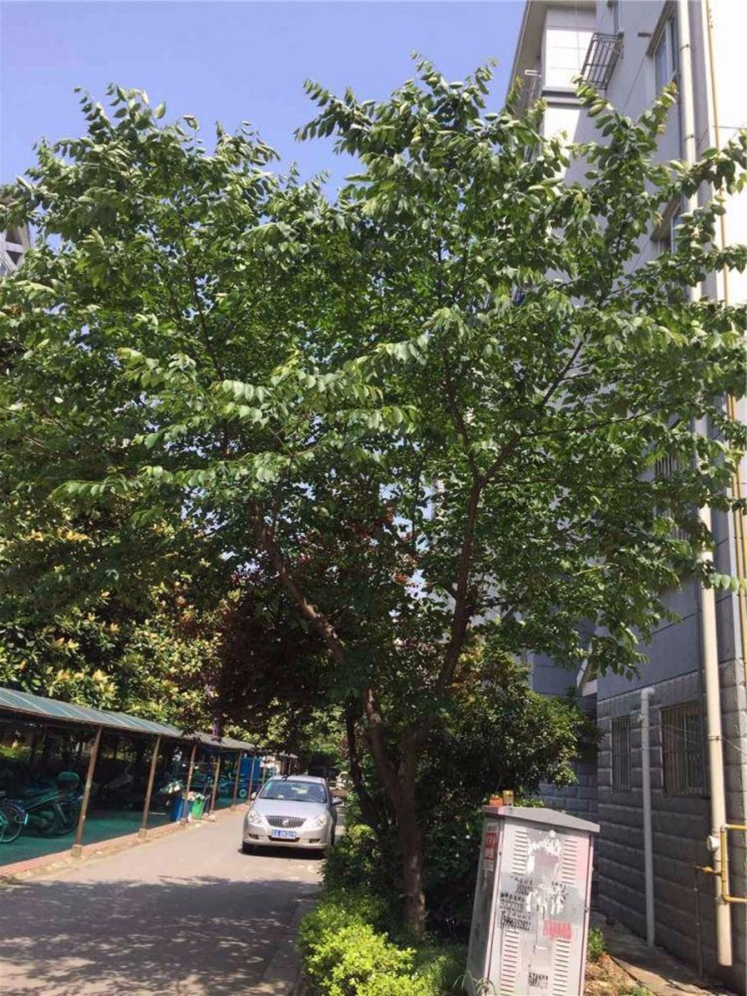 南京成山公寓二手房房源图片