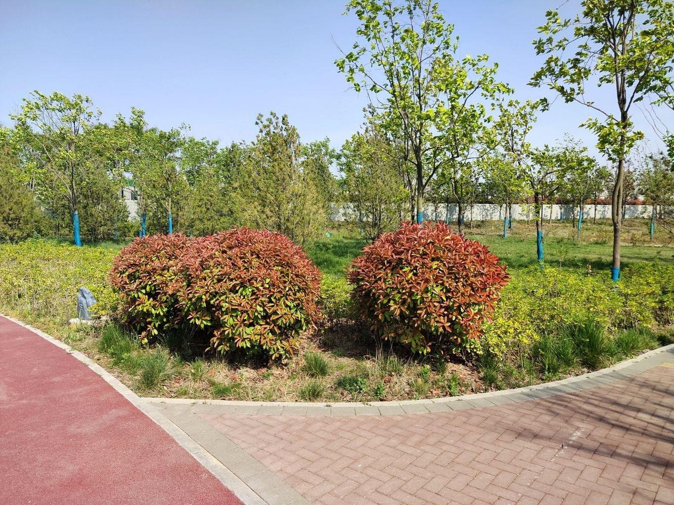 南京雅居乐雅郡兰庭二手房房源图片
