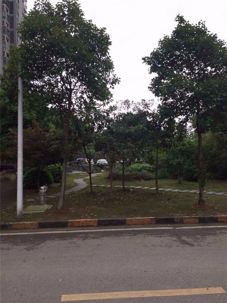 南京天景山公寓永福苑二手房房源图片