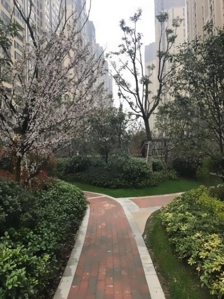 南京朗诗玲珑屿二手房房源图片