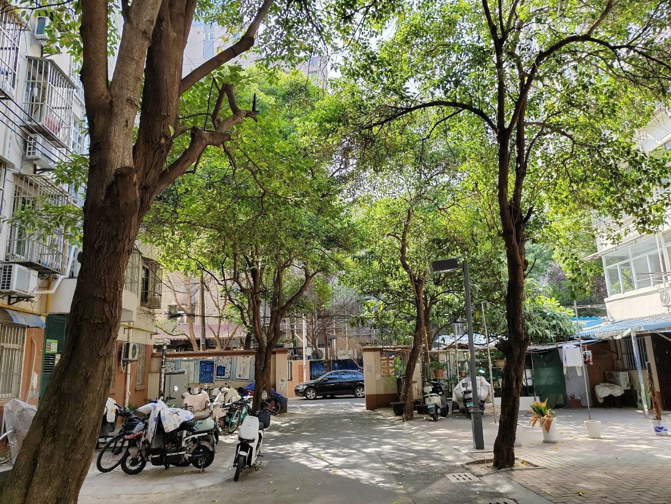 南京弓箭坊高层住宅小区二手房房源图片