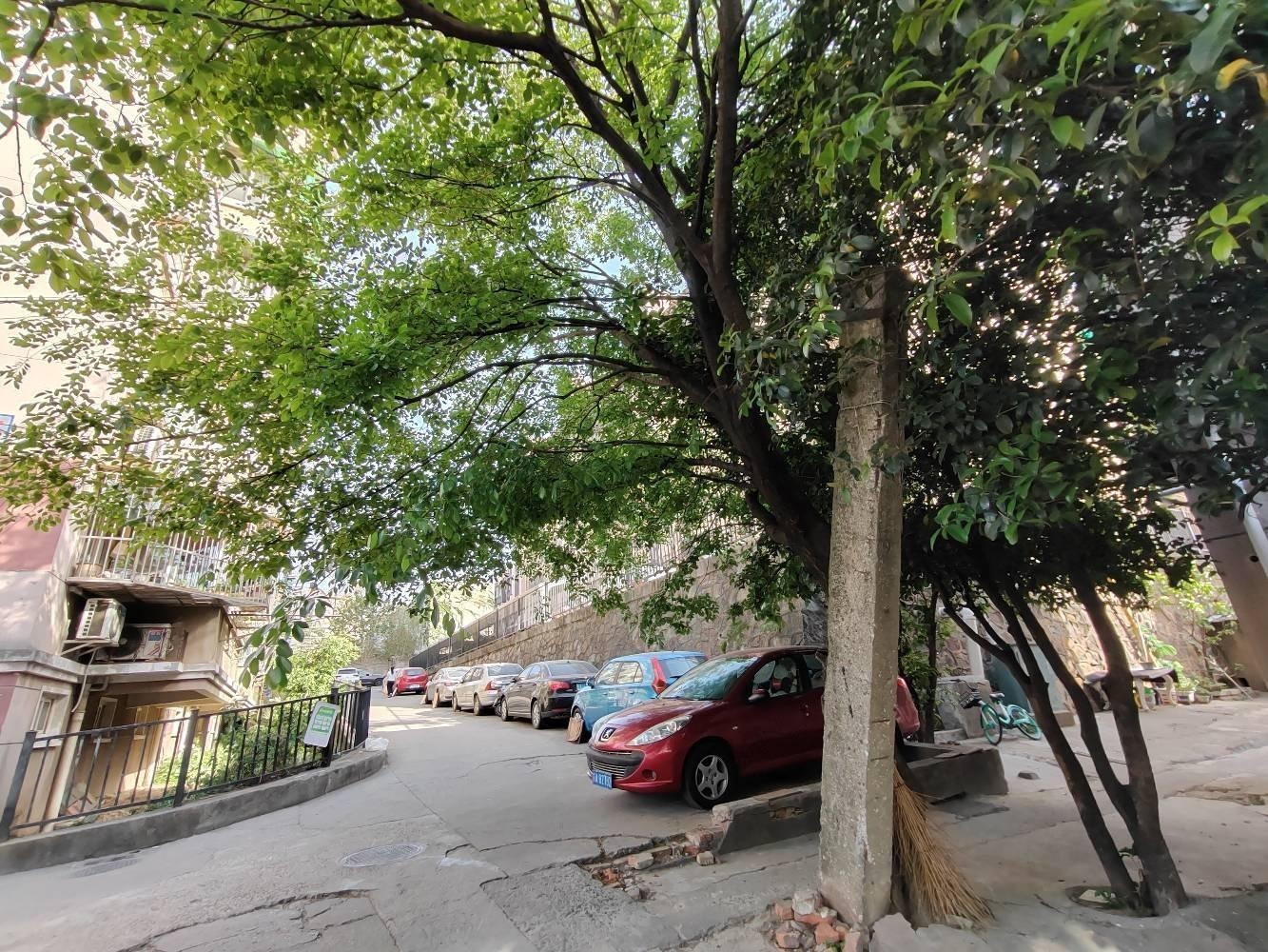 南京弓箭坊高层住宅小区二手房房源图片