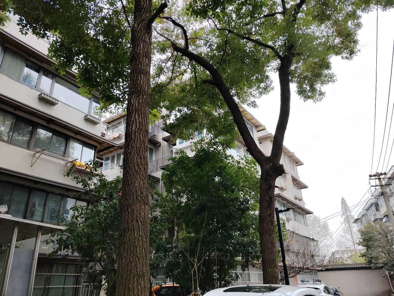 南京弓箭坊高层住宅小区二手房房源图片