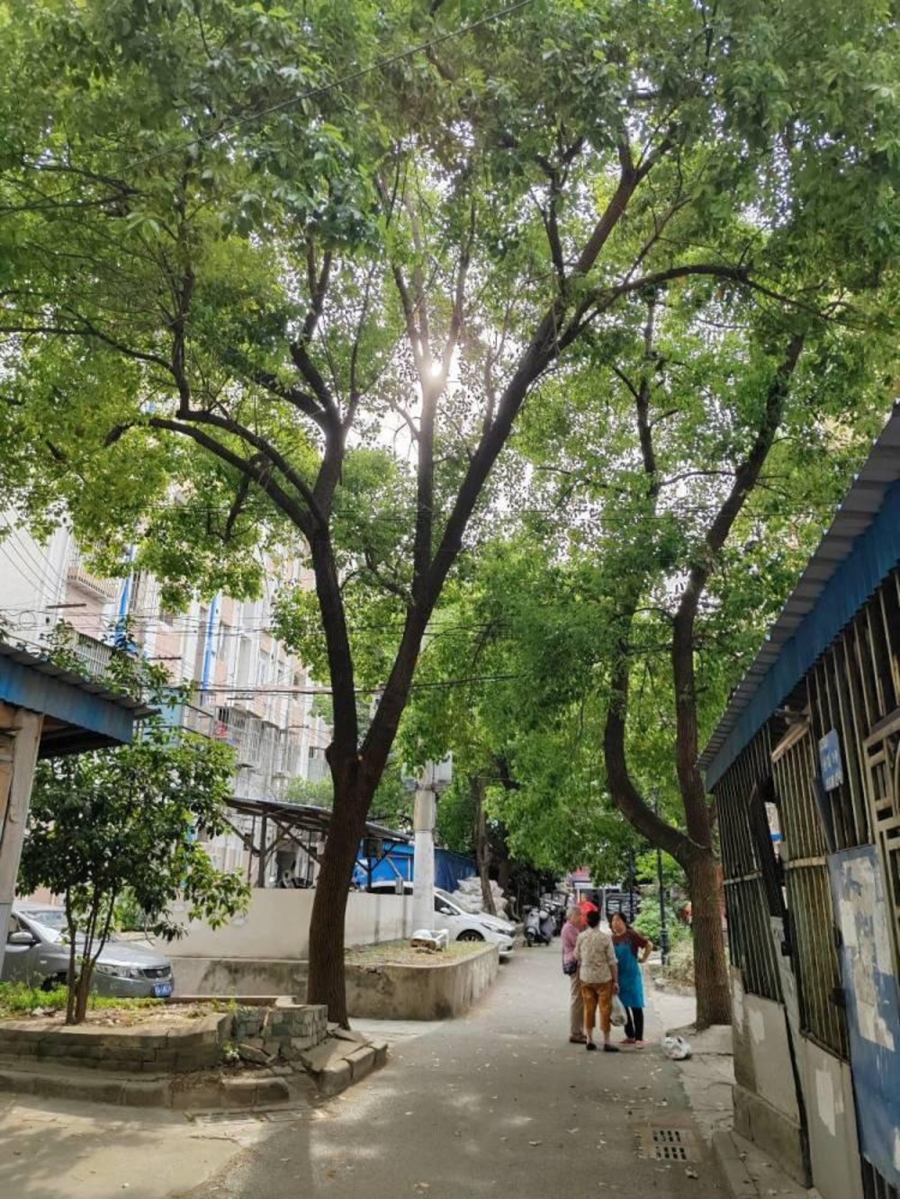 南京弓箭坊高层住宅小区二手房房源图片