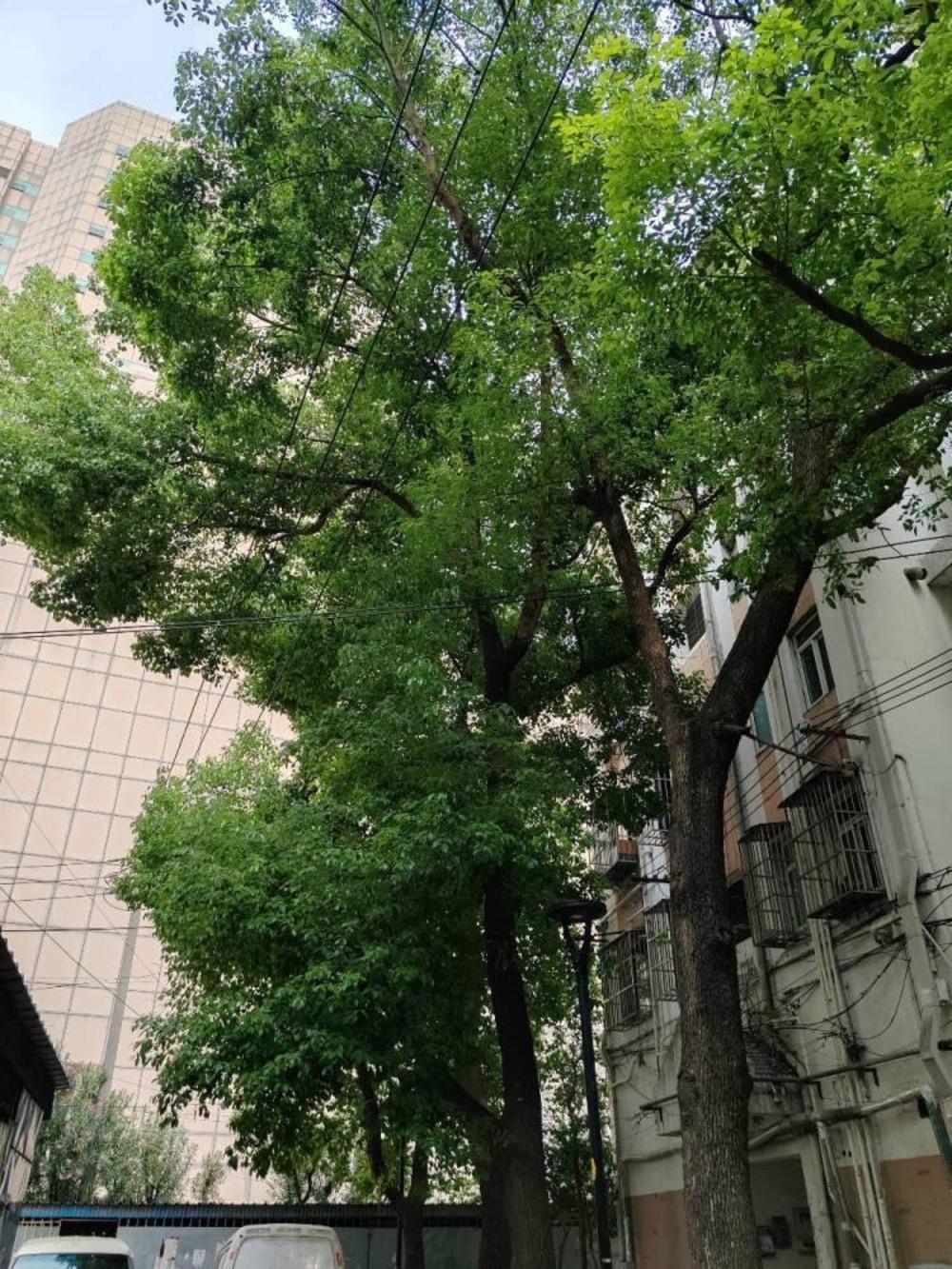 南京弓箭坊高层住宅小区二手房房源图片