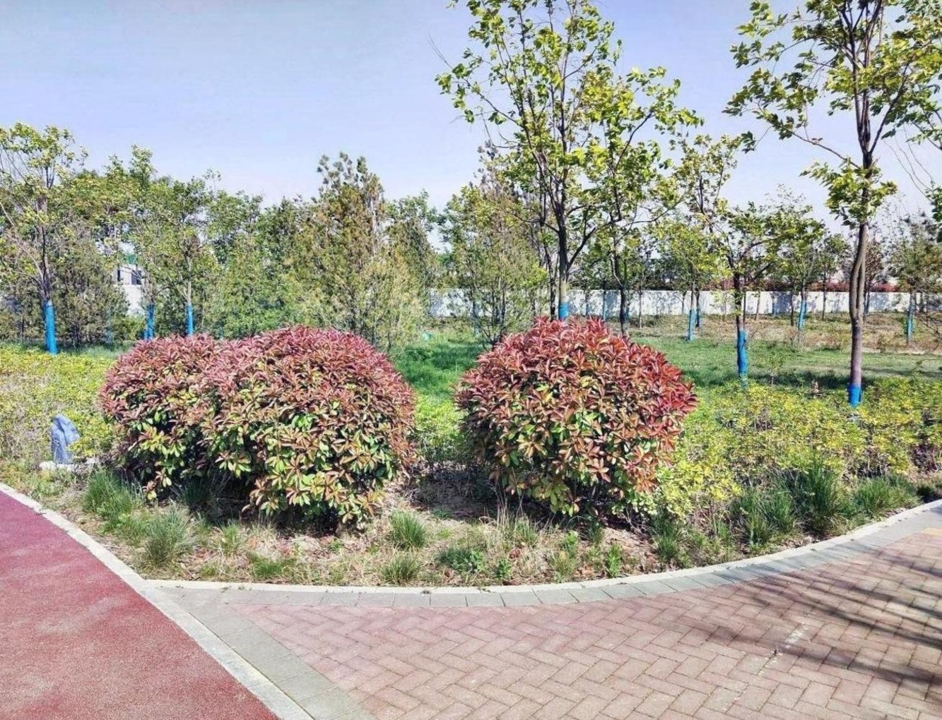 南京雅居乐雅郡兰庭二手房房源图片