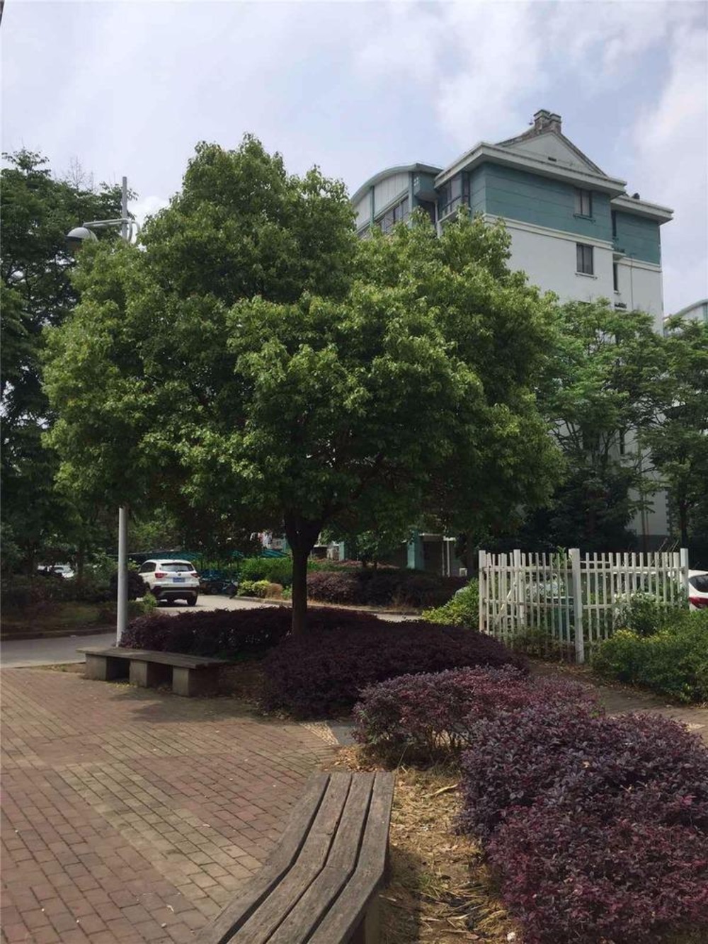 南京天景山公寓盛乐苑二手房房源图片